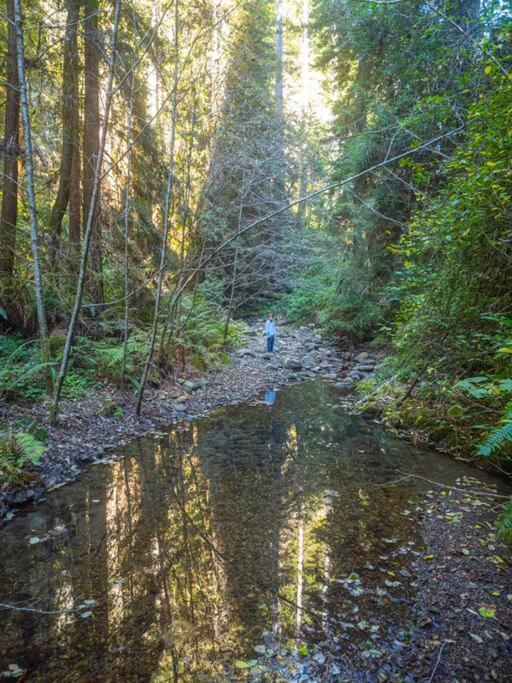 Driftwood Lodge ~ 5 Bedroom / 7 Bath ~ 30-Acre Private Estate On Hwy 1 ~ Hot Tub ~ Oceanview ~ Reunions & Retreats Walsh Landing Luaran gambar